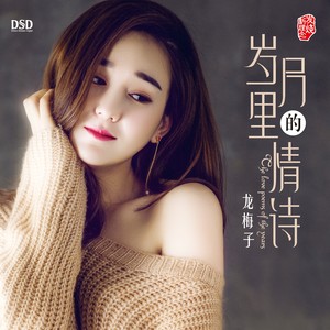 龙梅子专辑《岁月里的情诗》封面图片