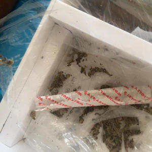 Play Den Yu Lay! (Explicit)