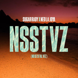 NSSTVZ