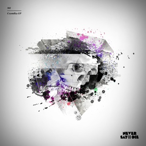 Won't Change Ft. Ras (Original Mix)