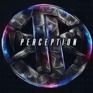 Perception