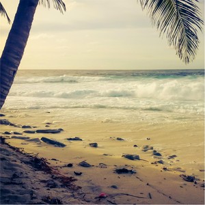 Where You'll Find Me