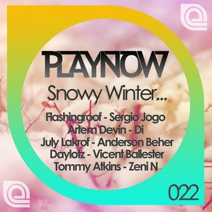 Snowy Winter Playnow