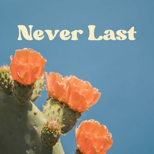 Never Last (Explicit)