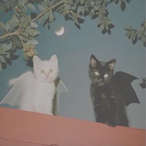 sensitive (Explicit)