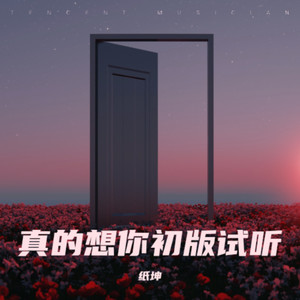 真的想你•初版一