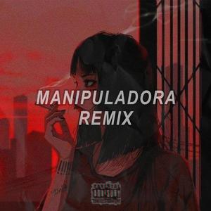 MANIPULADORA REMIX