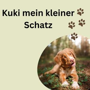 Kuki mein kleiner Schatz