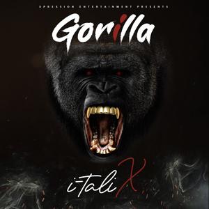 Gorilla