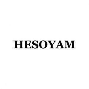 Hesoyam (feat. Jayy & Rouman) [Explicit]