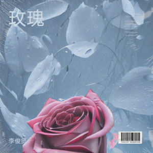 寂寞星球的玫瑰封面