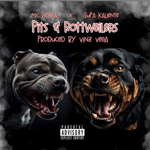 Pits & Rottweilers (feat. Supa Kaliente & Vinz Vega) (Explicit)