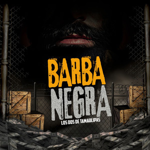 Barba Negra