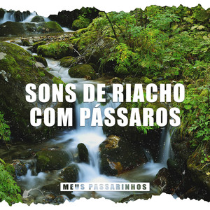 Sons de Riacho com Pássaros