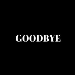 GOODBYE : (