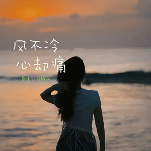 风不冷心却痛
