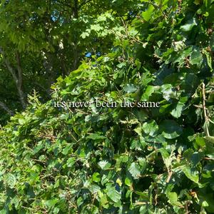 it's never been the same (Explicit)