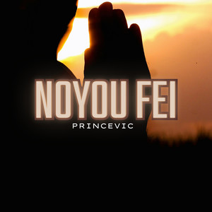 Noyou Fei