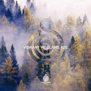 Vibrant Vibeland #20