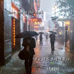 Love you in the dark (我无法在黑暗中爱你)