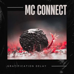 Gratification Delay (Explicit)