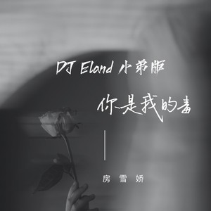 你是我的毒 (DJEland小弟 remix|Remix)