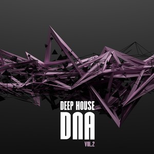 Deep House DNA, Vol. 2