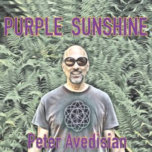 Purple Sunshine