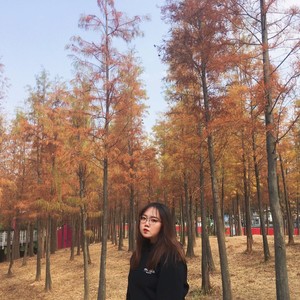 woodhere - 有人相爱，有人夜里开车看海 (Live)