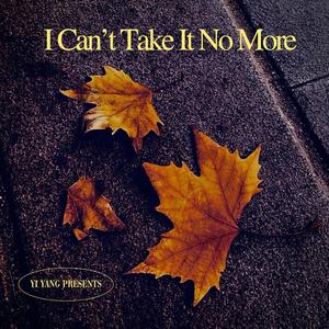 I CAN'T TAKE IT NO MORE