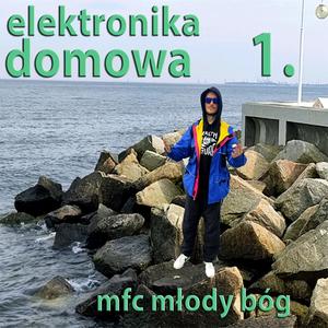 Elektronika Domowa 1