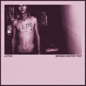 Walk Through The Forest To The Sea