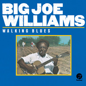 Big Joe Williams - Walking Blues