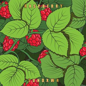 Raspberry (Explicit)