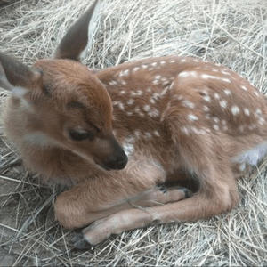 its too much (feat. dorien) (Explicit)