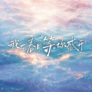 我在春日等你盛开 (伴奏)