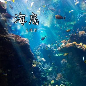 王多余. - 海底