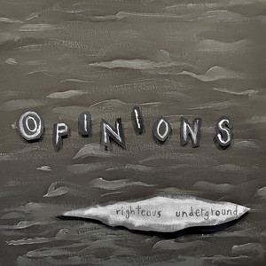 Opinions