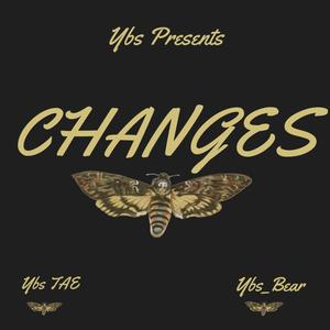 Changes (Explicit)