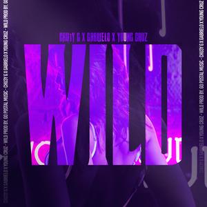 Wild (feat. Chu3yG & Young Cruz) [Explicit]