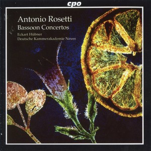 Bassoon Concerto No. 2 in F Major, C75 - Bassoon Concerto No. 2 in F Major, C75: III. Rondo. Allegro