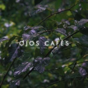 Ojos Cafés (feat. The Yulian & Escandar)