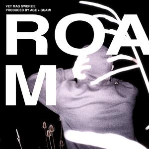 Roam (feat. Mag & Swerzie) [Explicit]