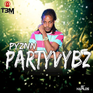 Party Vybz - Single