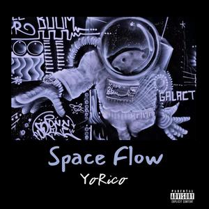 Space Flow (Explicit)