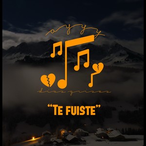 TE FUISTE