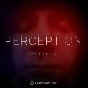 Perception (Remixes)