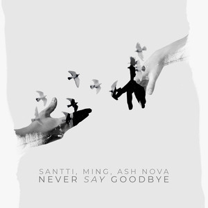 Santti - Never Say Goodbye