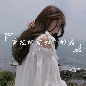 吹梦到西洲-小可&苏可可