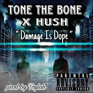 Damage Is Dope (feat. Hush) (Explicit)